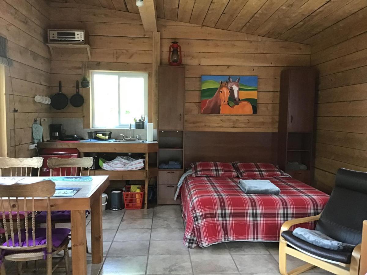 Loft Nature Laurentides Val-des-Lacs Екстер'єр фото