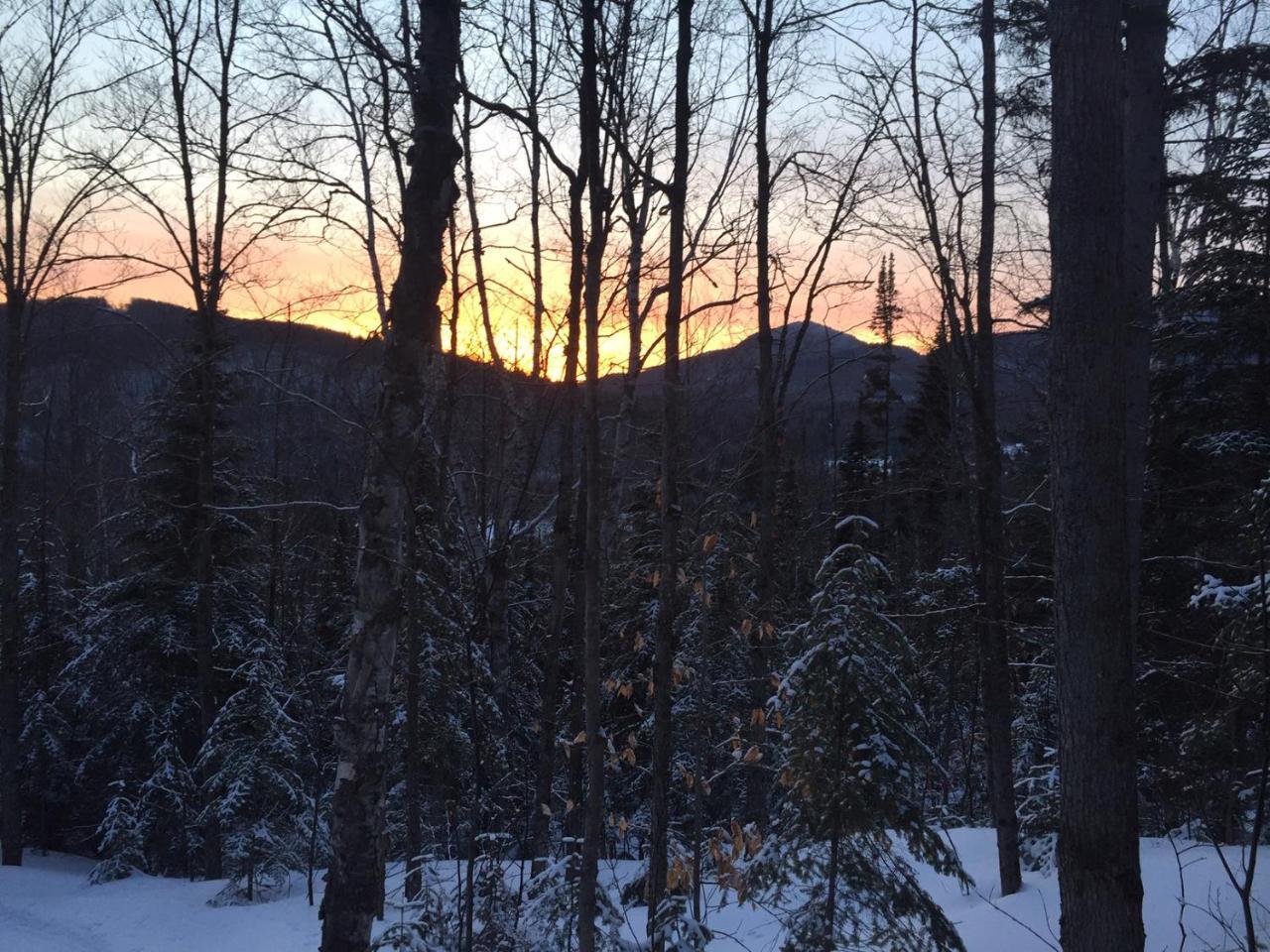 Loft Nature Laurentides Val-des-Lacs Екстер'єр фото